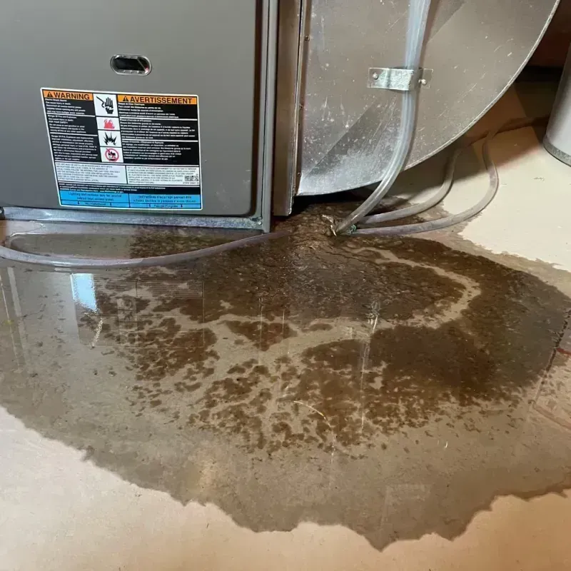 Appliance Leak Cleanup in Glen Ellyn, IL